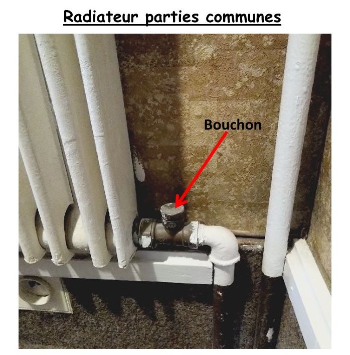 Nom : Bouchon sur radiateur couloir parties communes.jpg
Affichages : 643
Taille : 90,3 Ko