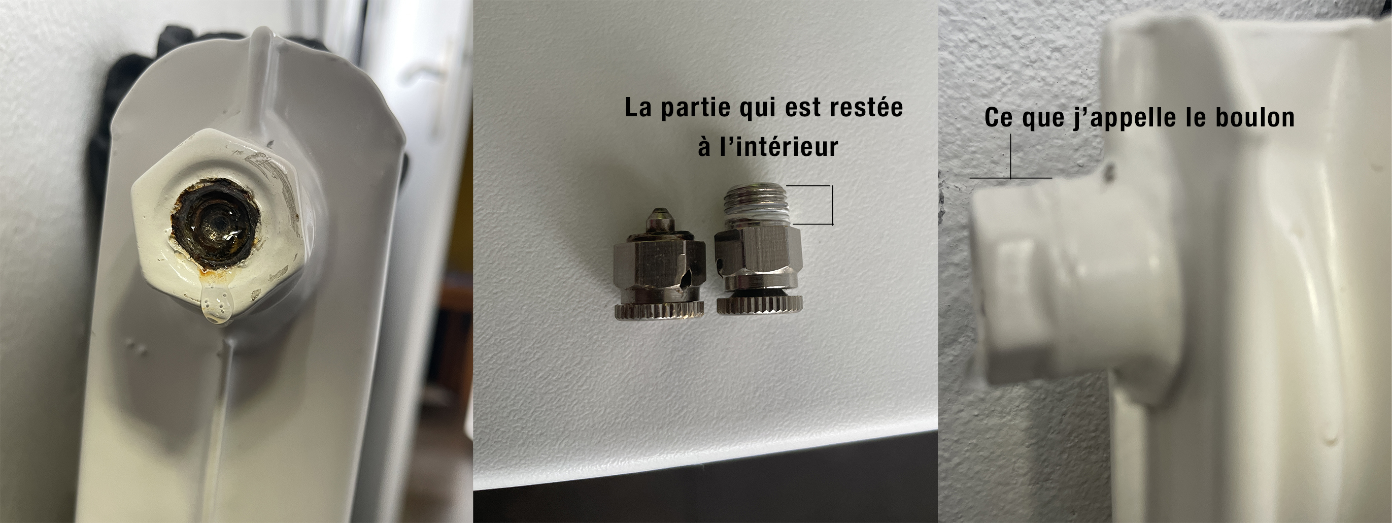 Lot De 2 Vis De Purge Radiateur En Laiton LT Easiyl - Compatible Land Rover 2010-2013, Réf LR150067 LR034624