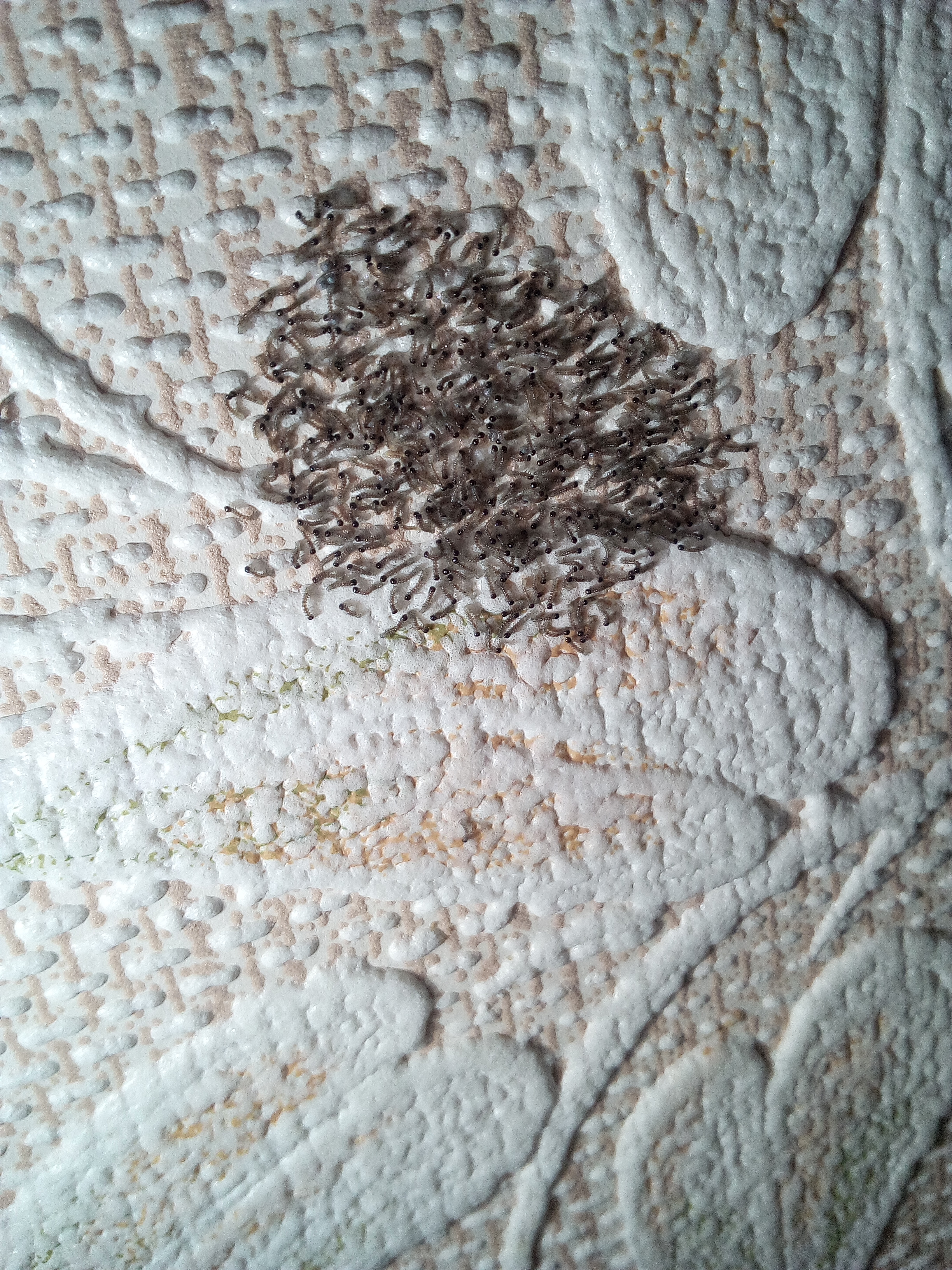 Nom : IMG_20250624_221413.jpg
Affichages : 151
Taille : 4,03 Mo