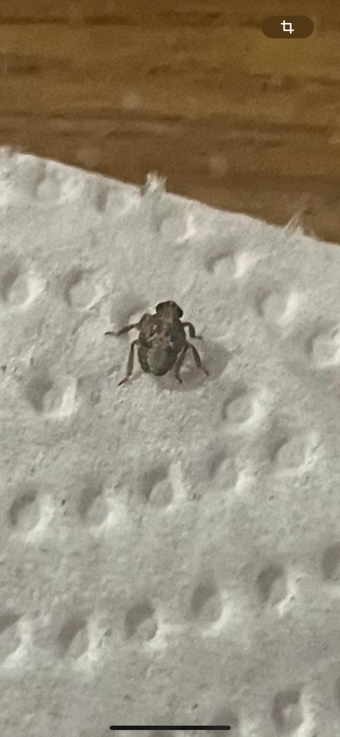 Nom : IMG_2103.jpg
Affichages : 43
Taille : 188,3 Ko