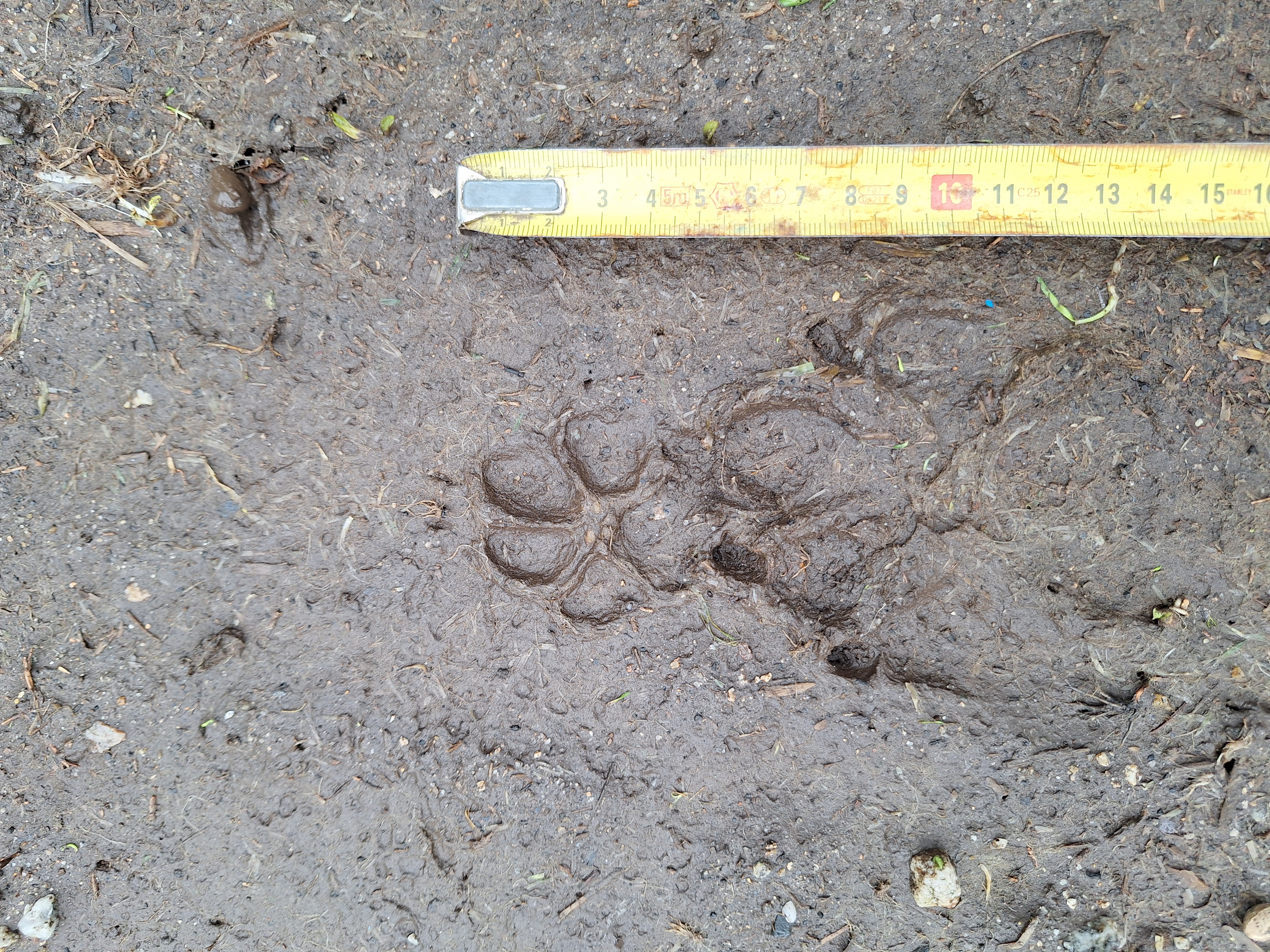 Nom : 20260210_140716.jpg
Affichages : 36
Taille : 5,93 Mo