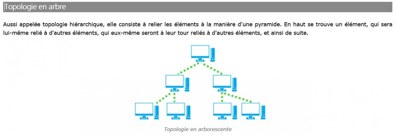 Nom : topologie_en_arbre.jpg
Affichages : 125
Taille : 41,8 Ko