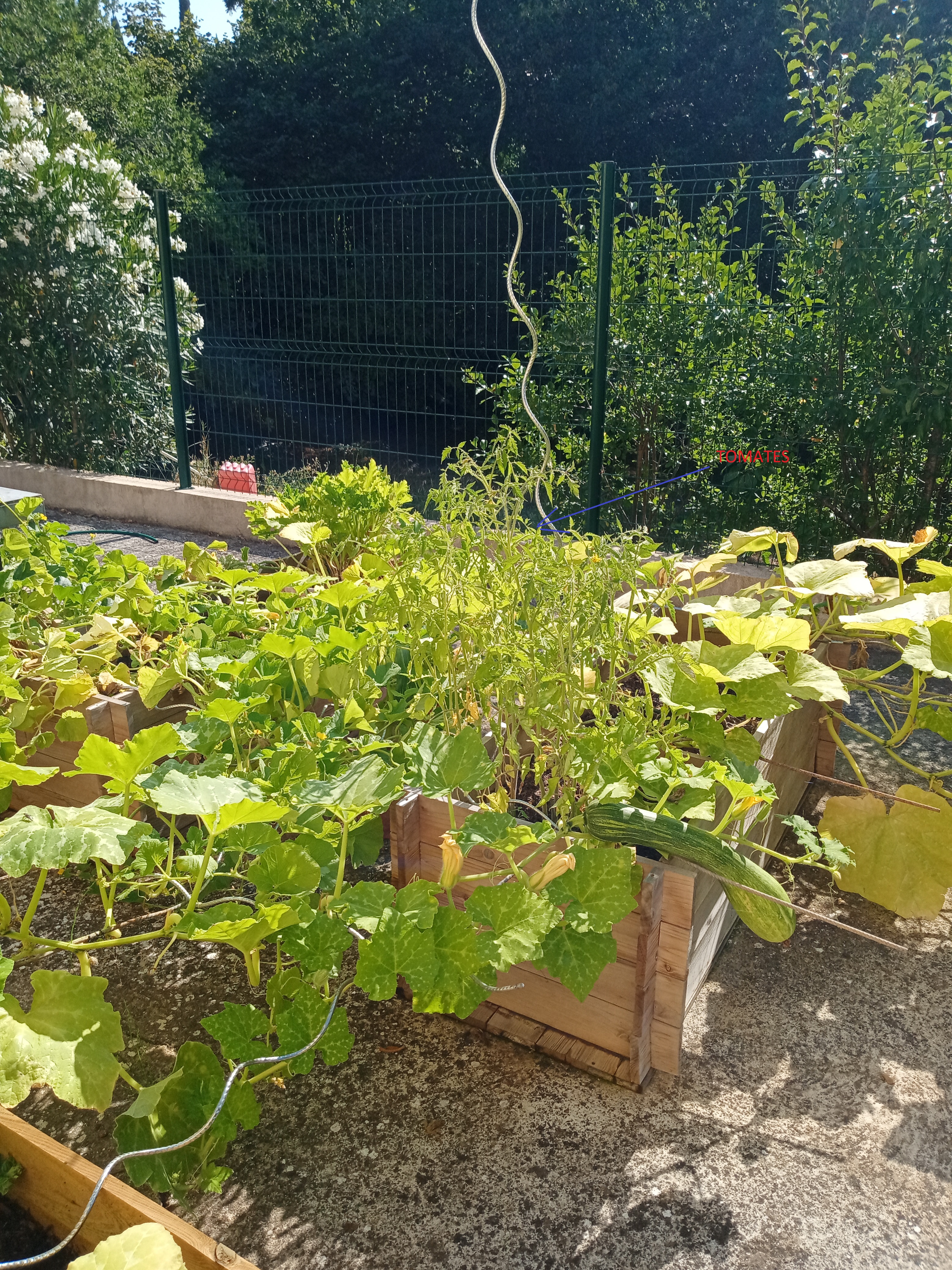Nom : potager.jpg
Affichages : 85
Taille : 5,65 Mo