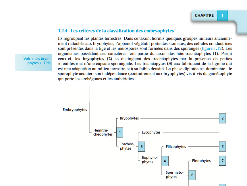 Nom : Capture dcran 2013-11-23  23.10.04.png
Affichages : 246
Taille : 123,2 Ko