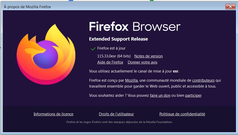 Nom : Firefox.jpg
Affichages : 30
Taille : 61,1 Ko