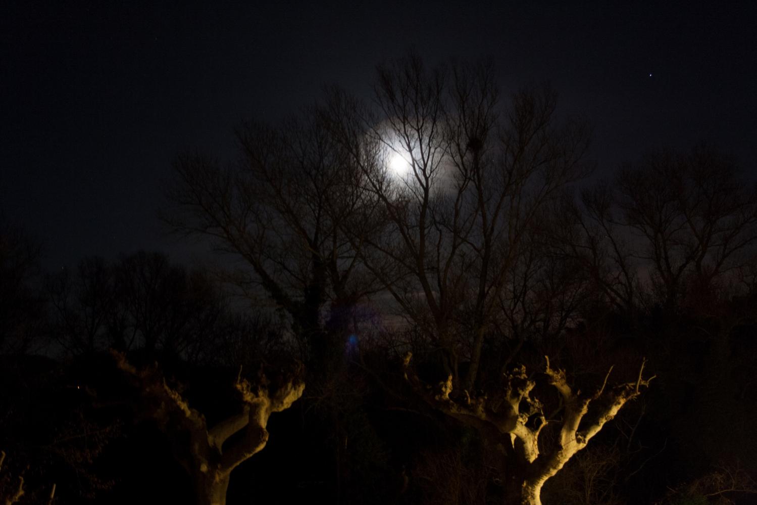 Nom : Photo d'ambiance Pleine Lune 2 redimenssion&#233;e.jpg
Affichages : 86
Taille : 94,0 Ko