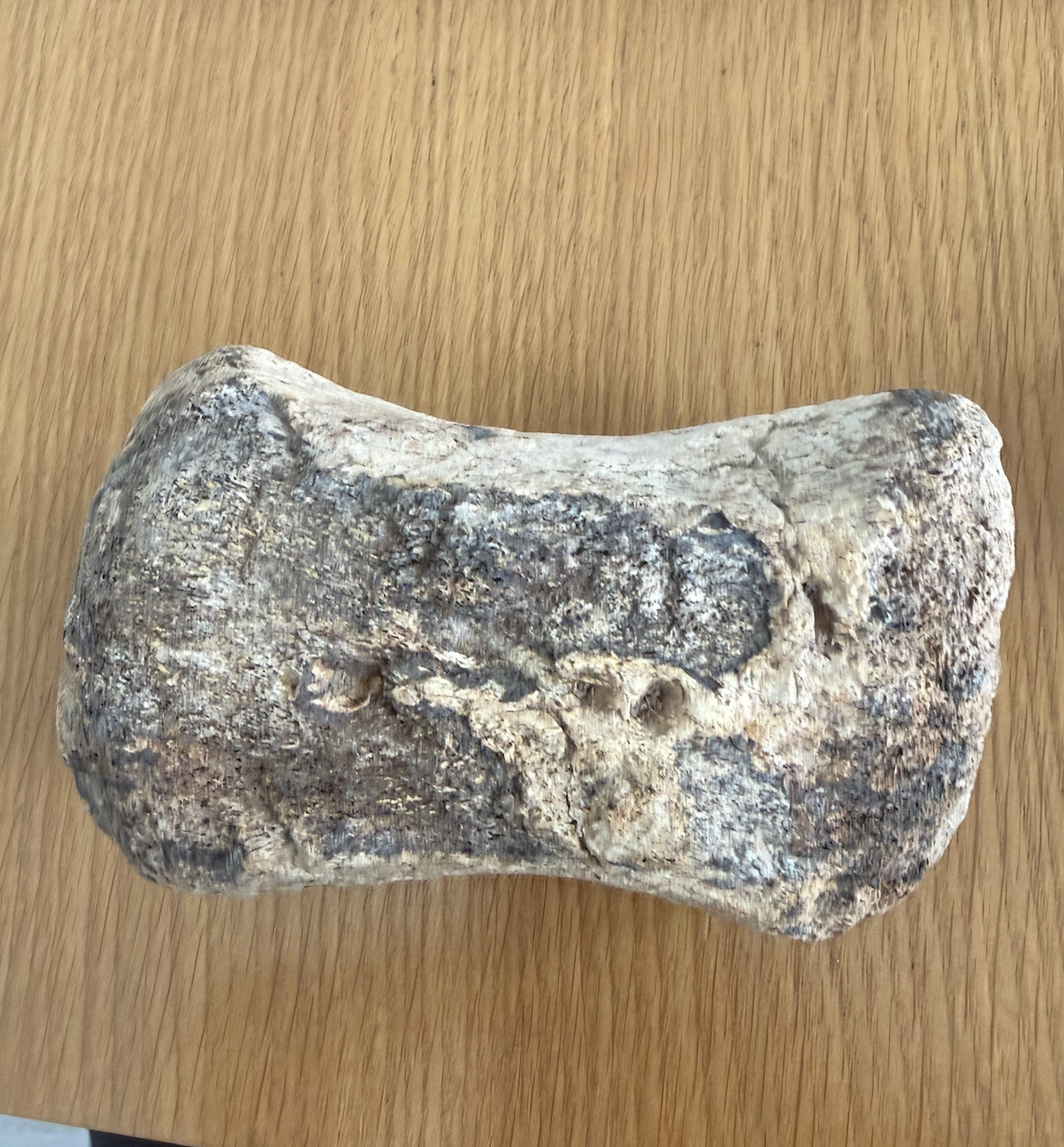 Nom : Screenshot 2025-12-30 at 12.09.22.png
Affichages : 85
Taille : 2,81 Mo