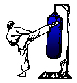 Nom : kick-bag.jpg
Affichages : 2081
Taille : 18,6 Ko