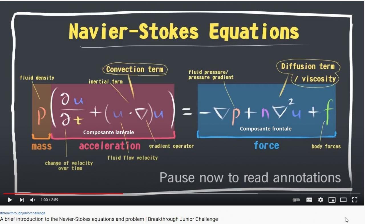 Nom : Navier stokes composantes.jpg
Affichages : 628
Taille : 99,8 Ko