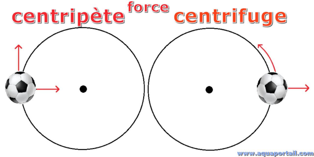 Nom : centripete-vs-centrifuge.jpg
Affichages : 36
Taille : 52,6 Ko