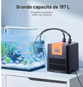 Nom : image_2026-08-30_173131904.png
Affichages : 23
Taille : 102,8 Ko